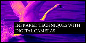 Infrared Techniques with Digital Cameras
