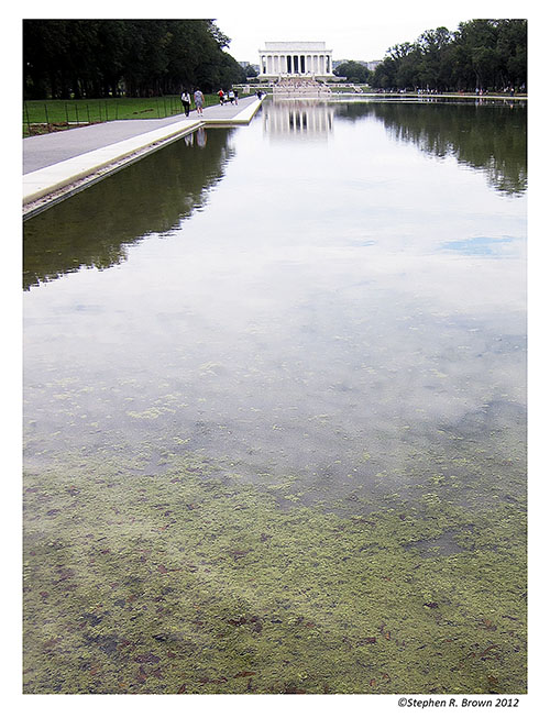 National Mall Reflecting Pool in Washington DC